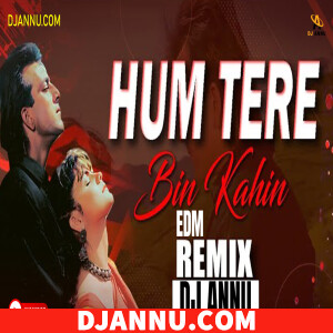Hum Tere Bin - EDM Love Remix DJ Annu